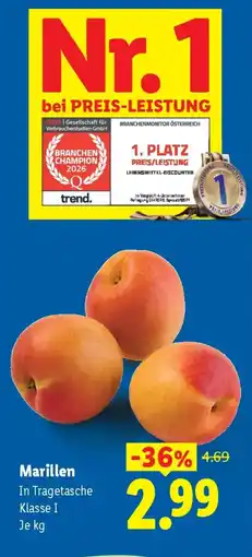 Lidl Marillen Angebot