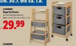 Lidl Livarno regal sortiment Angebot