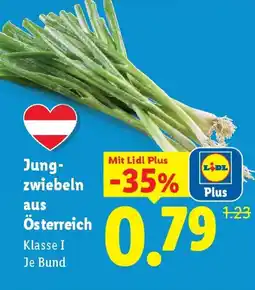 Lidl Jung- zwiebeln aus österreich klasse Angebot