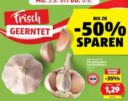Hofer Bio-Knoblauch Angebot