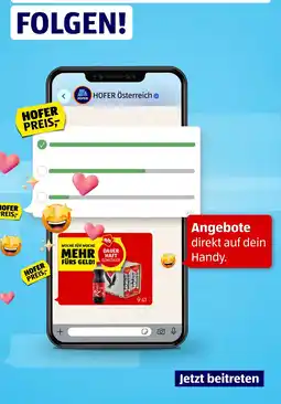 Hofer Ritter Sport Angebot