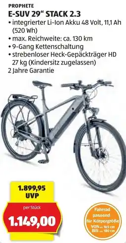 Hofer Prophete E-SUV 29" Stack 2.3 Angebot