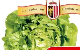 Eurospar Häuptelsalat Angebot