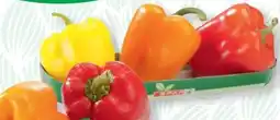 SPAR Gourmet Spar Paprika-Mix Angebot