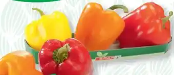SPAR Gourmet Spar Paprika-Mix Angebot