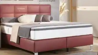XXXLutz Novel Boxspringbett Angebot