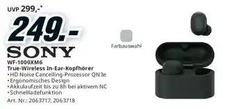 Sony WF-1000XM6 True-Wireless In-Ear-Kopfhörer