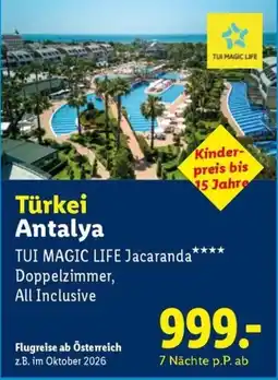 Lidl Reisen TUI MAGIC LIFE Jacaranda Angebot