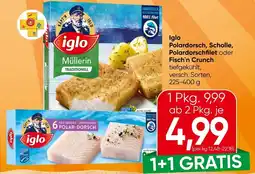 Spar iglo Polardorsch Angebot