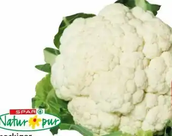 Eurospar Bio Karfiol Angebot