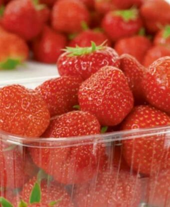 Spar Erdbeeren Angebot