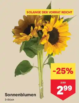 MPreis Sonnenblumen Angebot