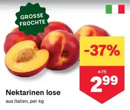 MPreis Nektarinen lose Angebot