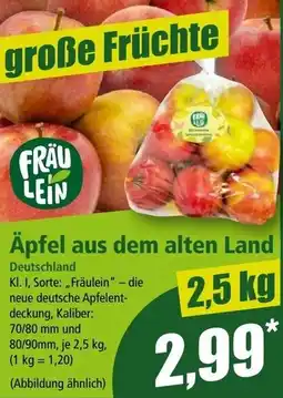 Norma Äpfel aus dem alten Land Angebot