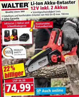 Norma Walter Li-Ion Akku-Entaster Angebot