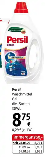 dm Persil Angebot