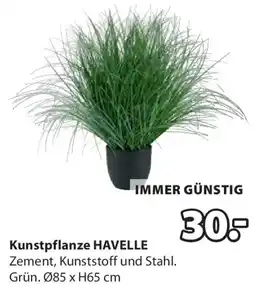 JYSK Kunstpflanze havelle Angebot