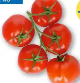 T&G Rispentomaten Angebot