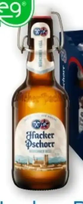 T&G Hacker Pschorr Münchner Hell Angebot