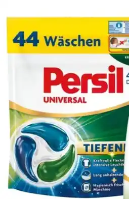 dm Persil Discs Waschmittel Angebot