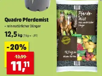 Quadro Pferdemist