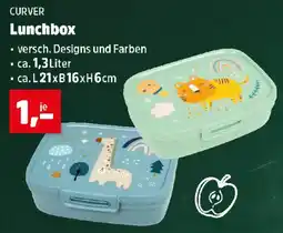 Thomas Philipps Curver Lunchbox Angebot