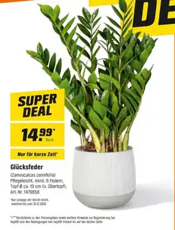 OBI Glücksfeder Angebot