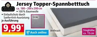 Jersey Topper-Spannbetttuch Dreamtex