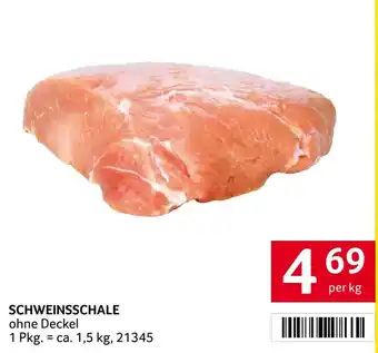 Schweinsschale ohne Deckel