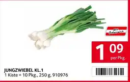 Transgourmet Jungzwiebel Kl.1 Angebot