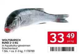Transgourmet Wolfsbarsch Angebot