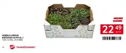 Transgourmet Herbeus Greens Kressemix Alpin Kl.1 Angebot