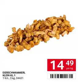 Transgourmet Eierschwammerl Klein KL.1 Angebot