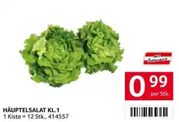 Transgourmet Häuptelsalat KL.1 Angebot