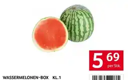 Transgourmet Wassermelonen-Box KL.1 Angebot