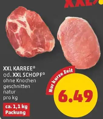 PENNY Xxl karree od. xxl schopf Angebot