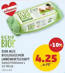 PENNY Eier aus biologischer landwirtschaft Angebot
