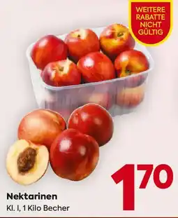 Billa Nektarinen Angebot