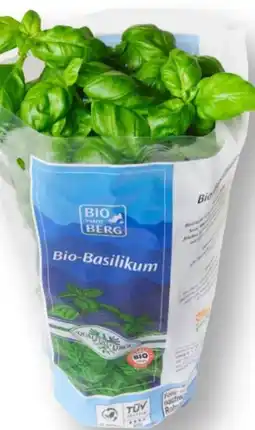 MPreis Bio vom Berg Basilikum Angebot
