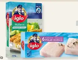 MPreis Iglo Polardorsch Angebot