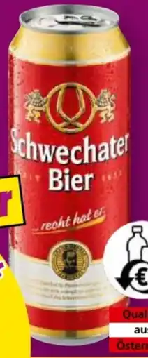 Norma Schwechater Lager Bier Angebot