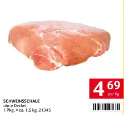 Transgourmet Schweinsschale ohne Deckel Angebot