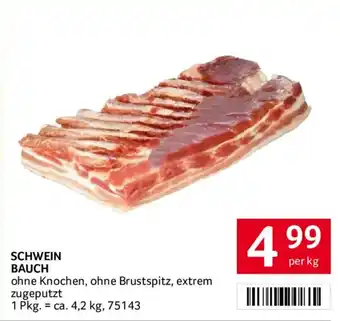 Schwein Bauch