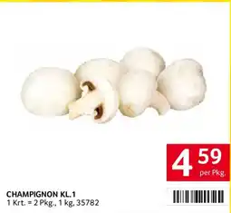 Transgourmet Champignon KL.1 Angebot