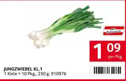 Transgourmet Jungzwiebel KL.1 Angebot