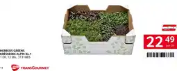 Transgourmet Herbeus Greens Kressemix Alpin KL.1 Angebot