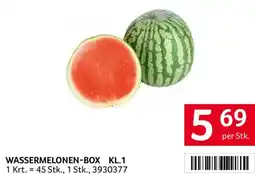 Transgourmet Wassermelonen-Box KL.1 Angebot