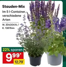 Lagerhaus Stauden-Mix Angebot