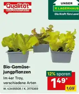 Lagerhaus Bio-Gemüse-jungpflanzen Angebot