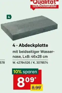Lagerhaus Abdeckplatte Angebot